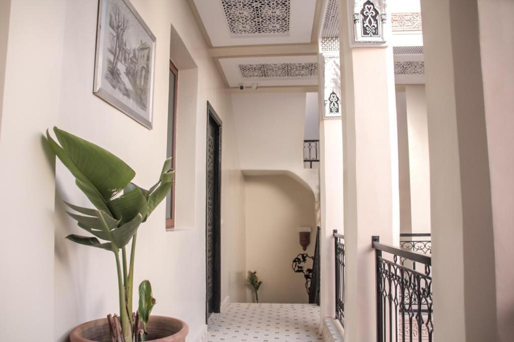Riad Amazing Марракеш Экстерьер фото